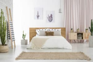 Où placer le cactus dans la maison ?